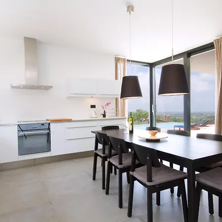Modern Anna With Outdoor Pool In Villa Visnjan